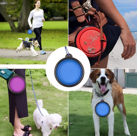 Foldable Pet Bowl