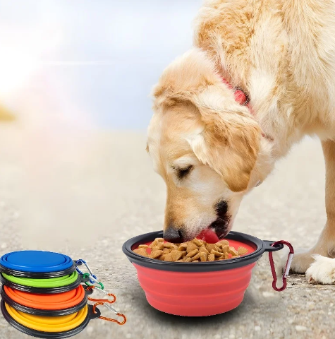 Foldable Pet Bowl