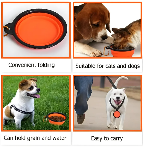 Foldable Pet Bowl